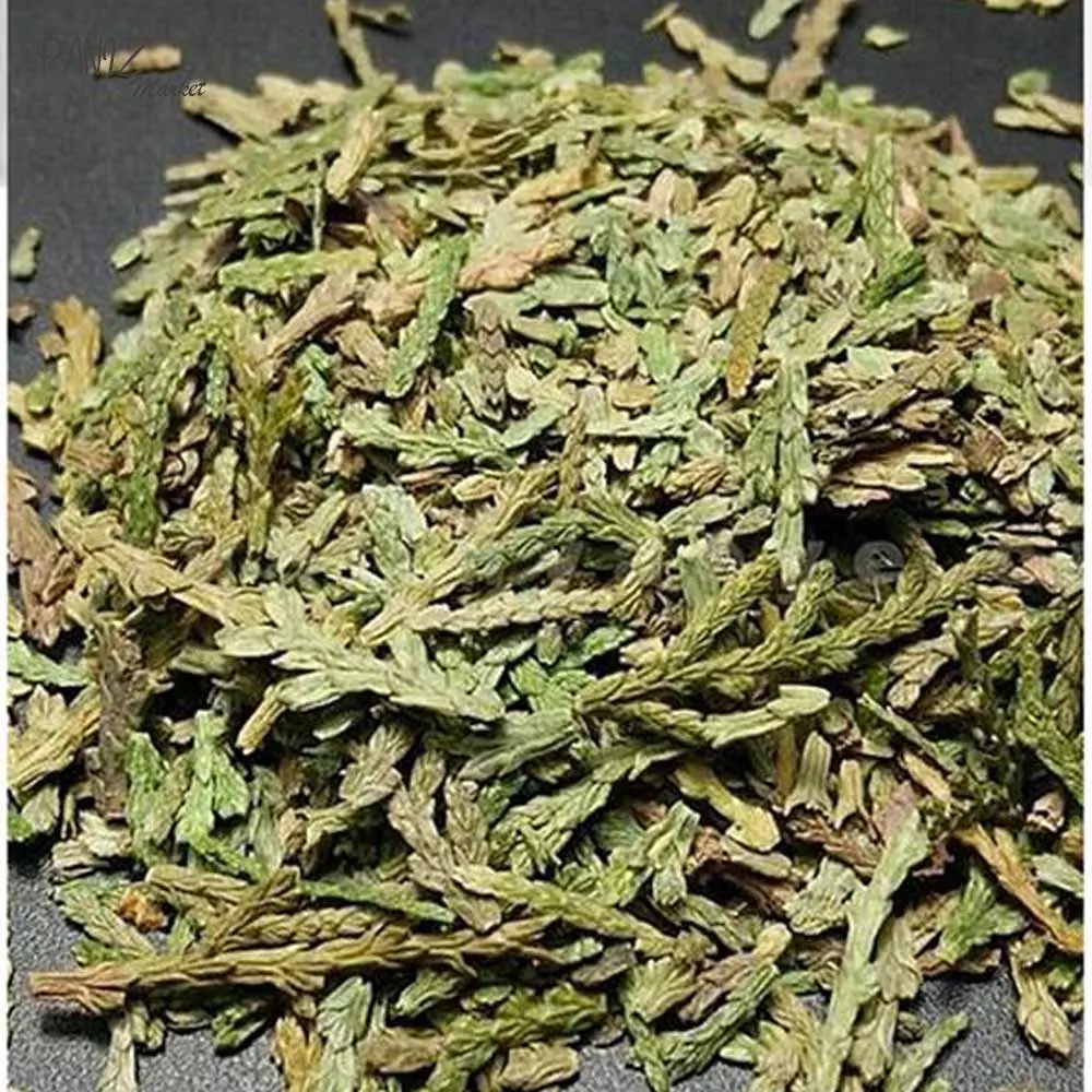 شامپو تقویت کننده و ضد ریزش مو بایواکوا رزماری