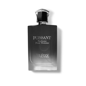 عطر ادکلن PUISSANT Bayrock( اونتوس ) مردانه