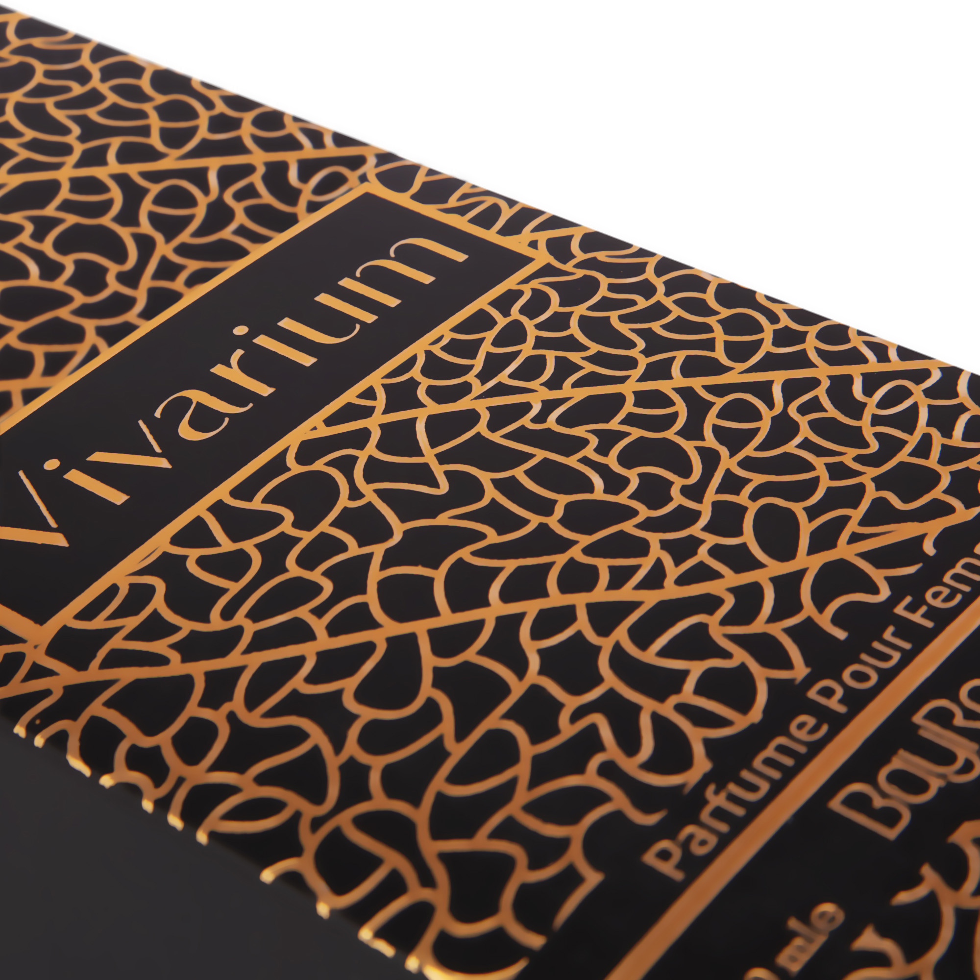 عطر ادکلن VIVARIUM Bayrock (ویکتوریا سکرت بامبشل) زنانه