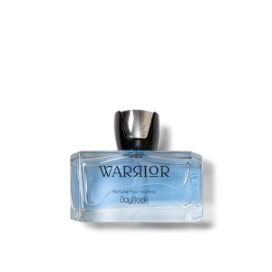 عطر ادکلن Warrior Bayrock (شنل آلور هوم ادیشن) مردانه