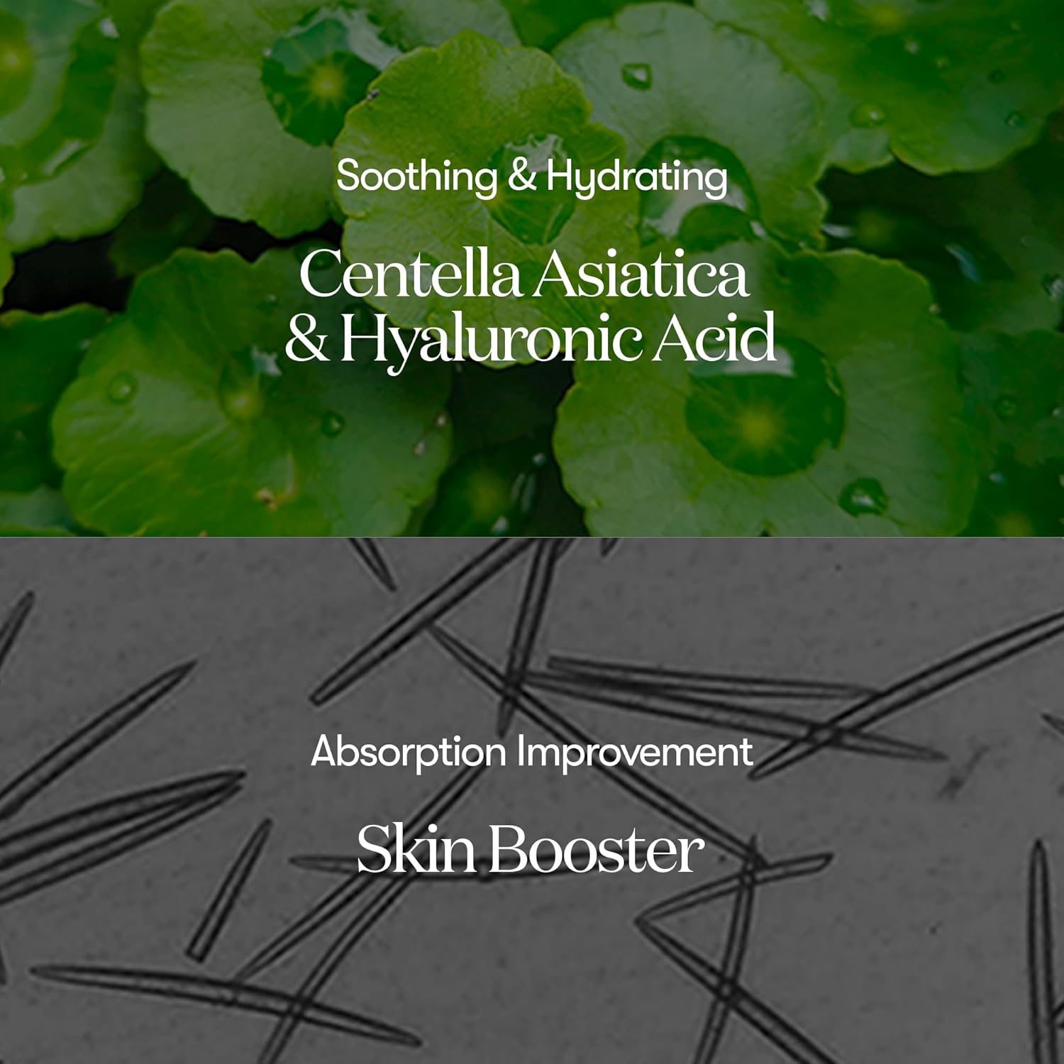 سرم میکرونیدلینگ ریدل شات Reedle Shot وی تی کازمتیکس Vt Cosmetics